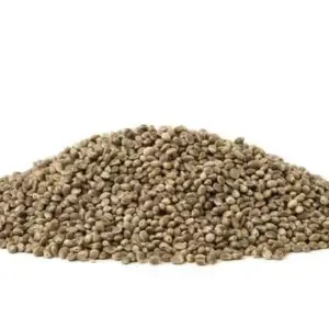 organic hemp seed